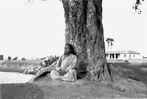 Yogananda en meditación